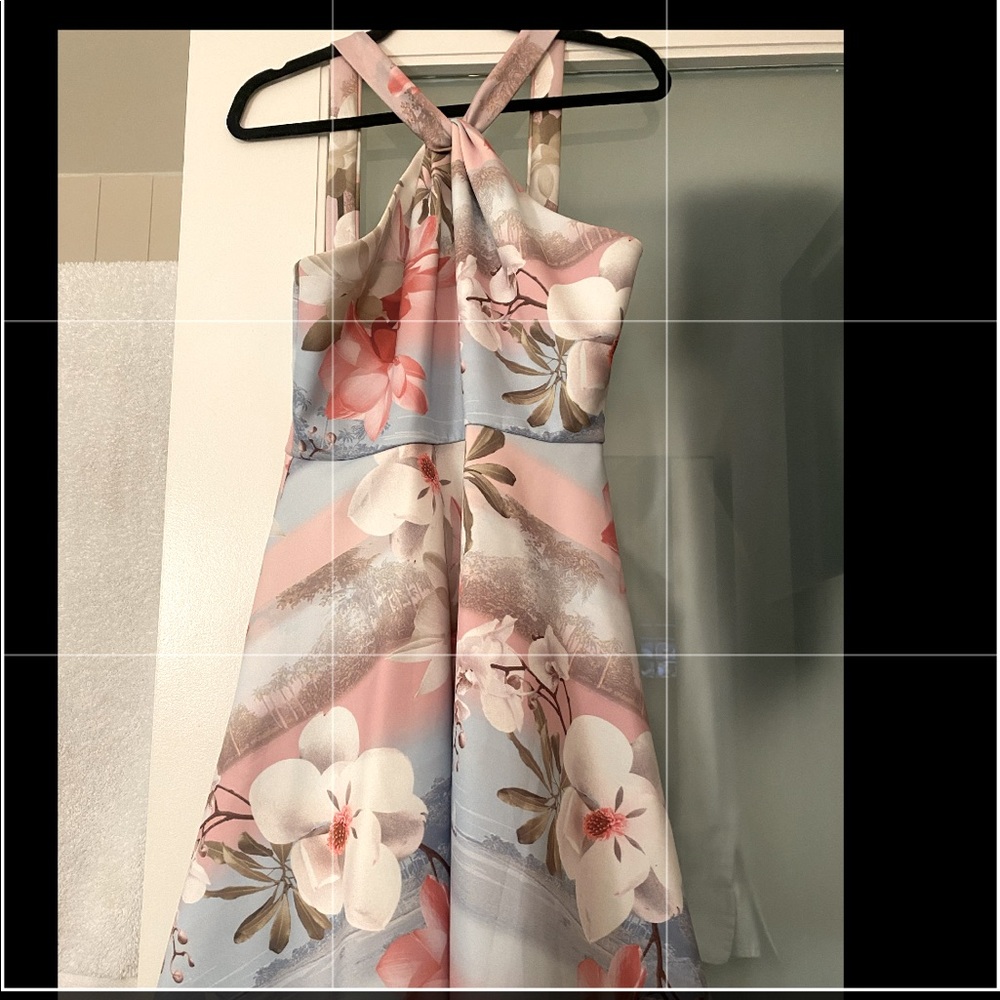 Ted Baker London Dress